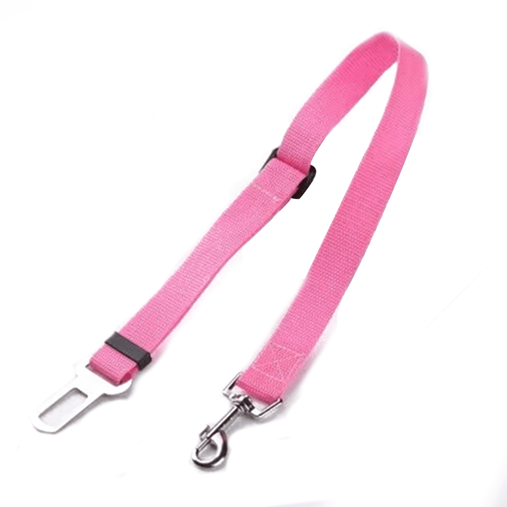 Petdrive Collar